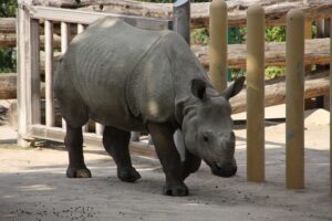 G147a52455af5d60c48013a18b862de2f35471278d0a5c72cdb04fa9227de305ed2290bb459171e1a168925ac59b13e82971a2698ebd4a2f01264f6a0ffc80f2d 640